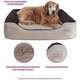 Cama Pickorruchos King Gigante Choco