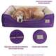 Cama Pickorruchos King Gigante Passion