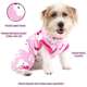 “Macacão Pijama Fleece Pickorruchos Rosa”
Voltar a lista de Imagens