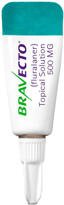 Antipulgas e Carrapatos Bravecto Transdermal 500 mg para Cães de 10 a 20Kg - 1 Pipeta