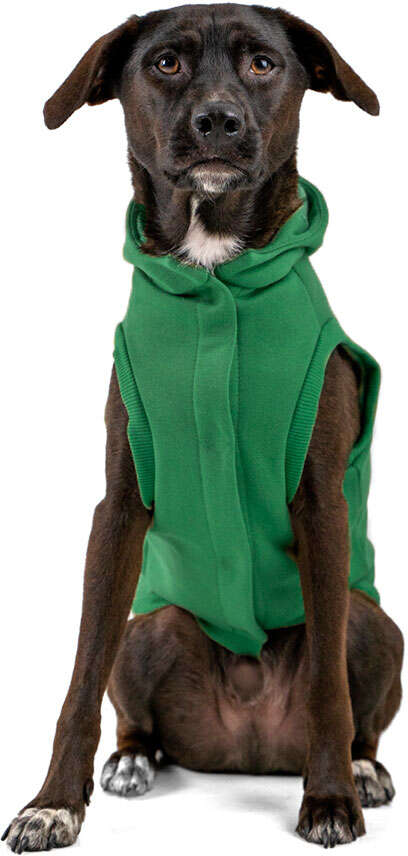 Moletom Vento Sul Verde - Tam. G