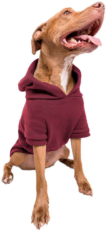 Moletom Pacco Merlot - Tam. G