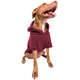 Moletom Pacco Merlot