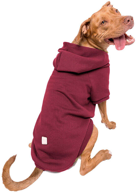 Moletom Pacco Merlot - Tam. G