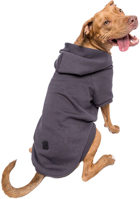Moletom Pacco Cinza - Tam. M