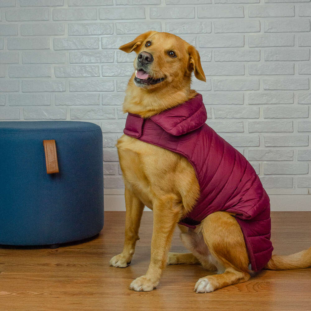 Jaqueta Meau Puffer Vinho Bordô - Tam. 10