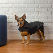 Jaqueta Meau Puffer Preto