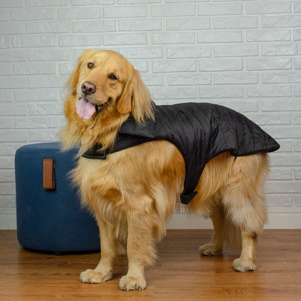 Jaqueta Meau Puffer Preto - Tam. 05