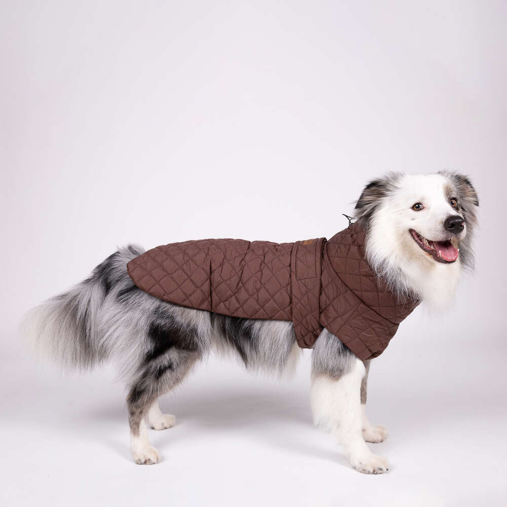 Jaqueta Meau Puffer Matelassê com Velcro Marrom - Tam. 04