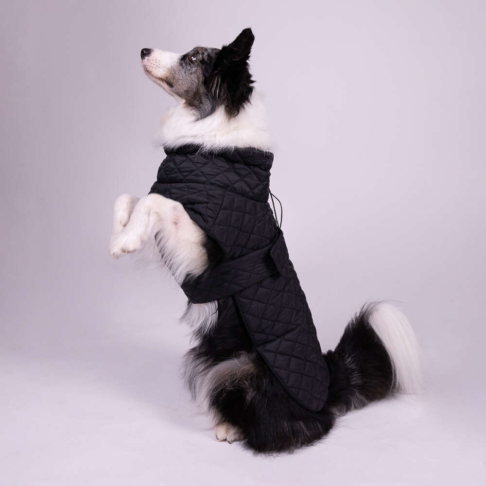 Jaqueta Meau Puffer Matelassê com Velcro Preto - Tam. 05