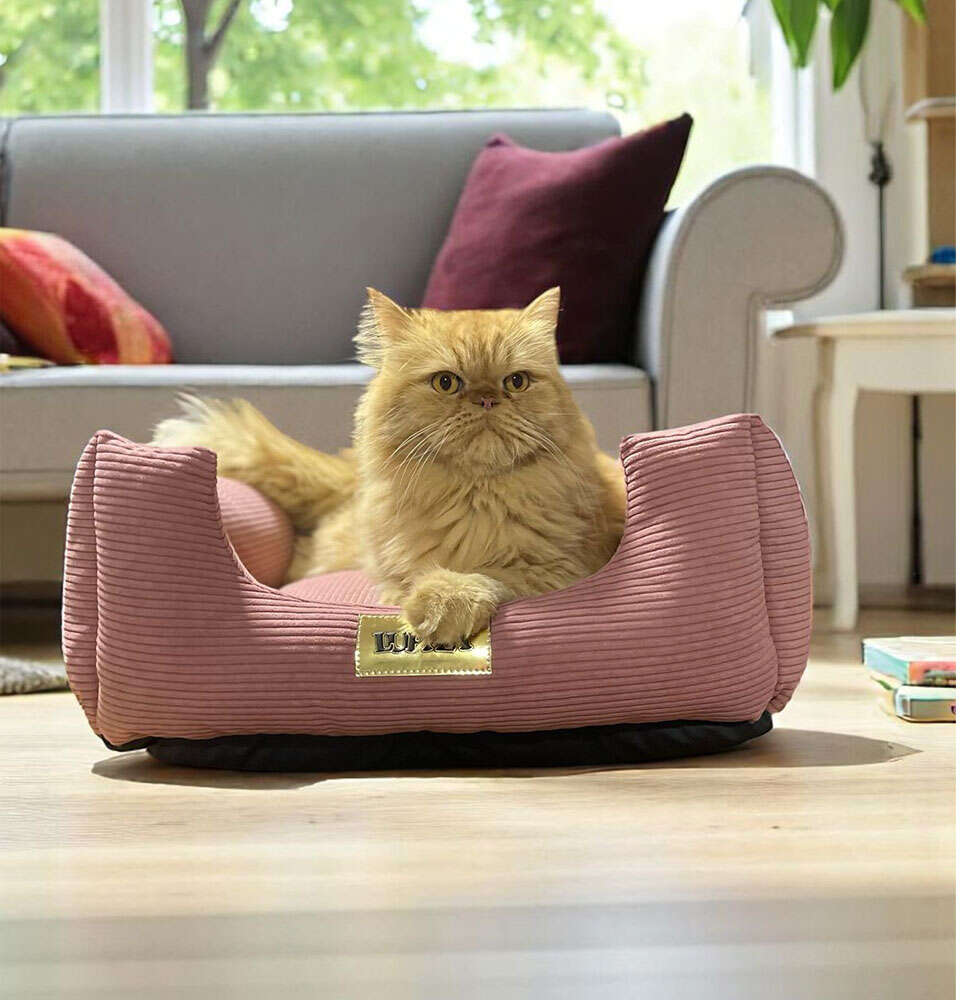 Cama Luppet Quadrada M Rose Copenhage - Tam. G