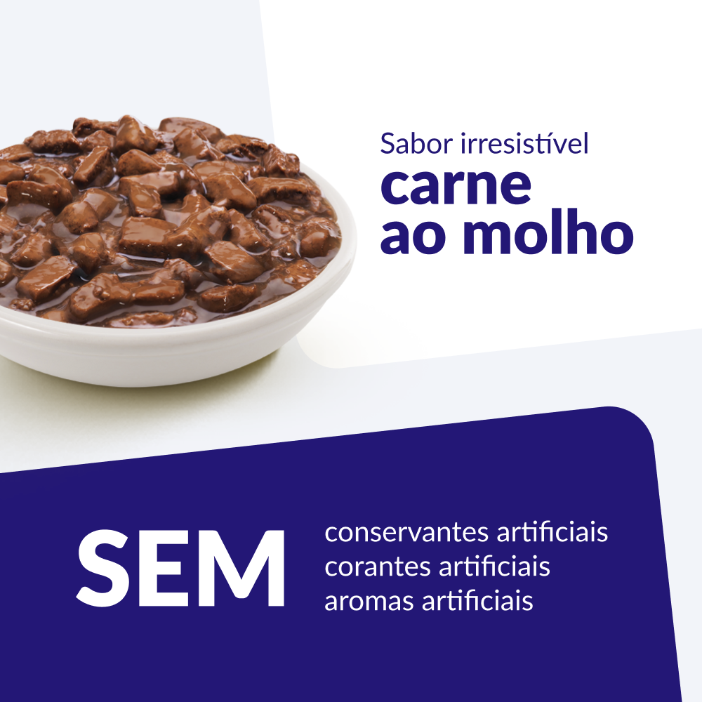 Ração Úmida Nutrilus Sabor Carne para Cães Adultos - 100g