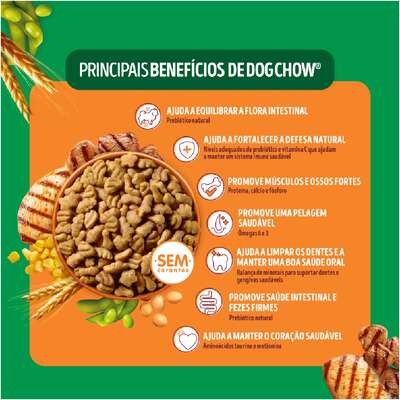 Ração Seca Nestlé Purina Dog Chow Extra Life Cães Adultos Carne, Frango e Arroz Raças Mini e Pequenas