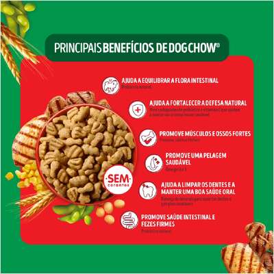 Ração Seca Nestlé Purina Dog Chow Extra Life Carne, Frango e Arroz Cães Adultos Todas as Raças