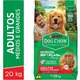 Ração Seca Nestlé Purina Dog Chow Extra Life Carne, Frango e Arroz Cães Adultos Raças Médias e Grandes