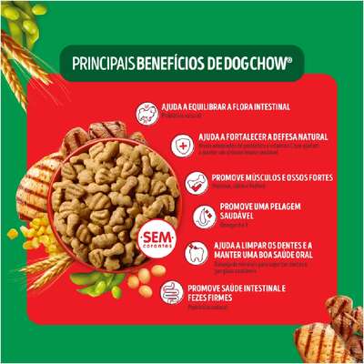 Ração Seca Nestlé Purina Dog Chow Extra Life Carne, Frango e Arroz Cães Adultos Raças Médias e Grandes