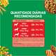 Ração Seca Nestlé Purina Dog Chow Extra Life Carne, Frango e Arroz Cães Adultos Raças Médias e Grandes