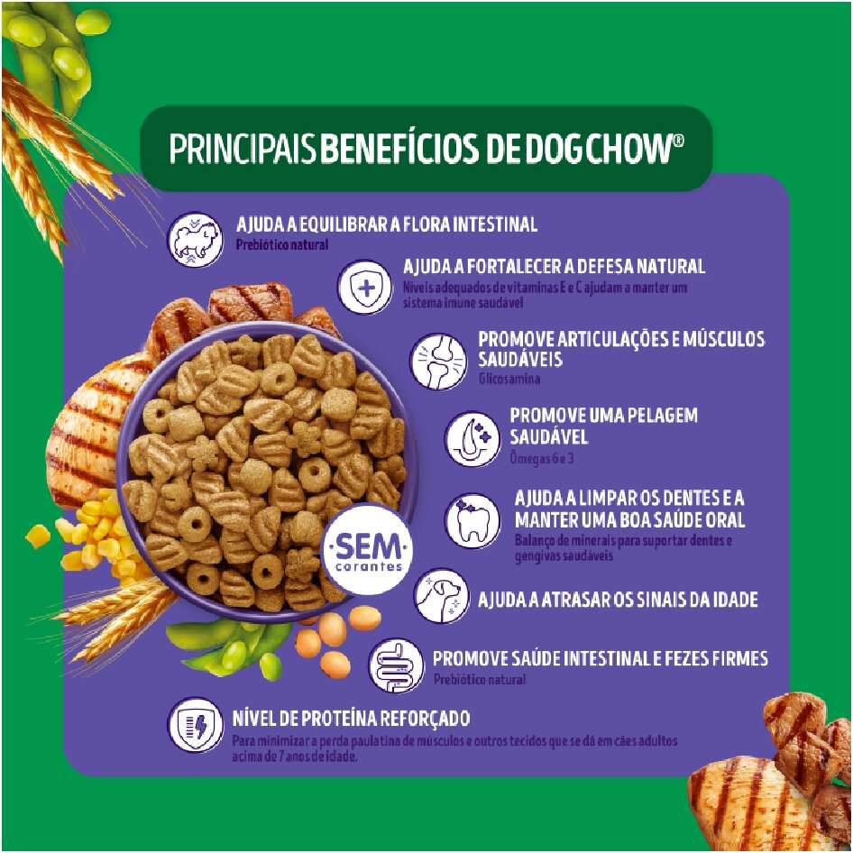 Ração Seca Nestlé Purina Dog Chow Extra Life Carne, Frango e Arroz Cães Adulto 7+ Todas as Raças - 15Kg