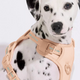 Peitoral Mesh Up4you Bubble Salmão para Cães