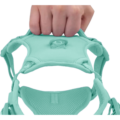 Peitoral Mesh Up4you Bubble Verde para Cães