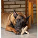 Brinquedo Modedor Bio Bone Asterisco Bege para Cães”