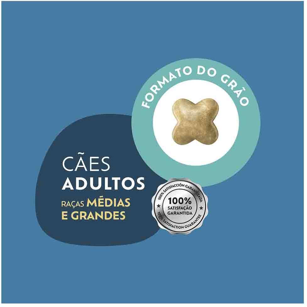 Ração Seca Quatree Select para Cães Adultos Raças Médias e Grandes Sabor Carne Com Arroz e Batata Doce - 20Kg