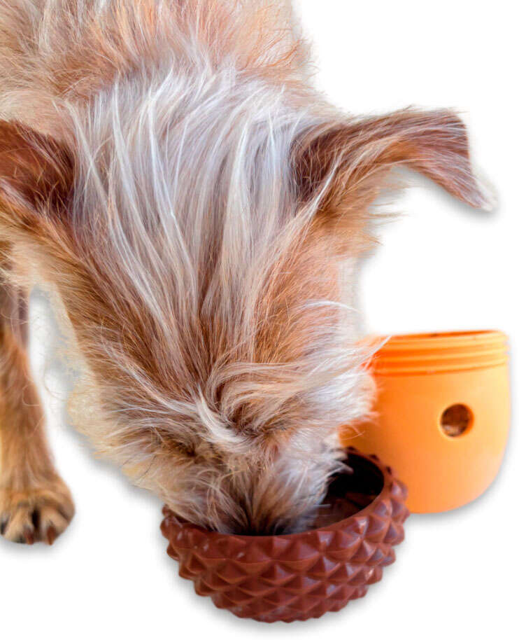Brinquedo Interativo Nuts Fuzzie Dispenser e Recheável para Cães e Gatos - Tam. Único