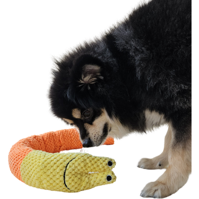 Brinquedo Interativo Senhora Caracol Fuzzie Recheáel para Cães