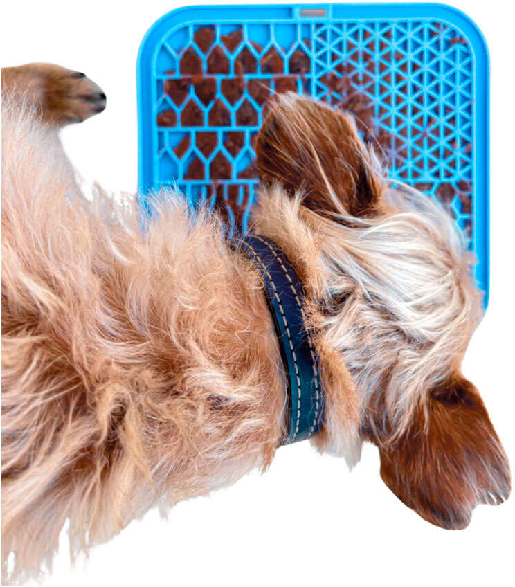 Brinquedo Interativo Tapete de Lamber Kit Fuzzie Azul para Cães e Gatos - Tam. Único
