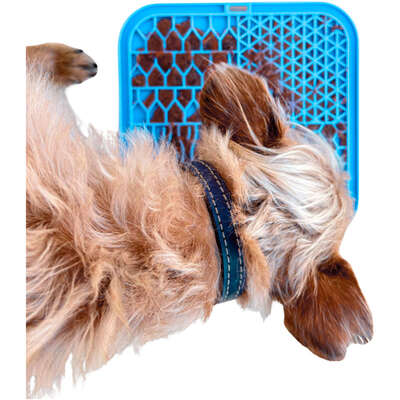 Brinquedo Interativo Tapete de Lamber Kit Fuzzie Azul para Cães e Gatos