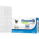 Anti-inflamatório e Analgésico Vetnil Firocoxib 50 mg para Cães