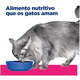 Ração Seca Hill's Prescription Diet Gastrointestinal Biome para Gatos Adultos