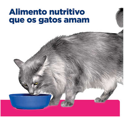 Ração Seca Hill's Prescription Diet Gastrointestinal Biome para Gatos Adultos