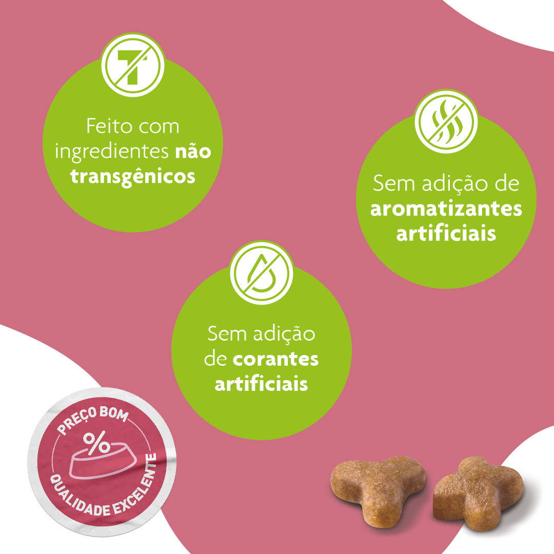 Ração Seca Royal Canin Premium Cat para Gatos Filhotes - 1Kg