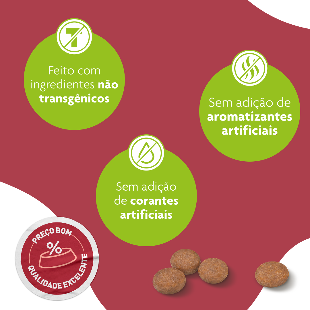 Ração Seca Royal Canin Premium Cat para Gatos Adultos Castrados - 10,1Kg
