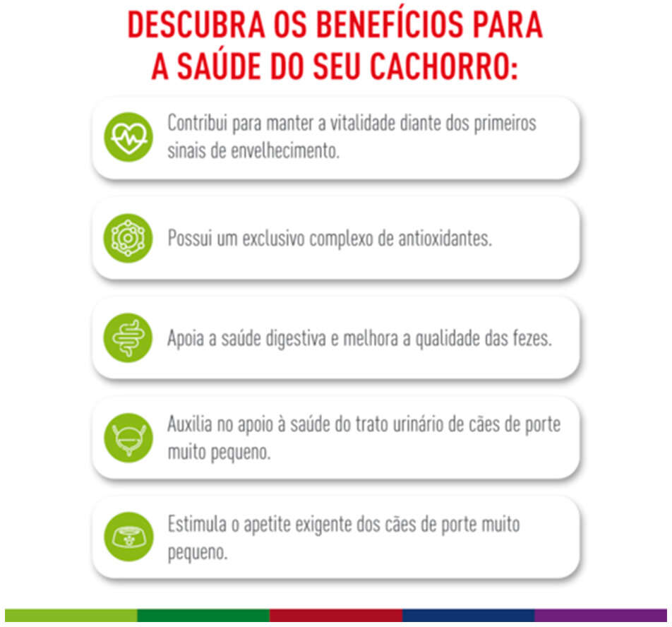 Ração Royal Canin X-Small Adulto 8+ para Cães Adultos e Idosos de Porte Miniatura - 2,5Kg