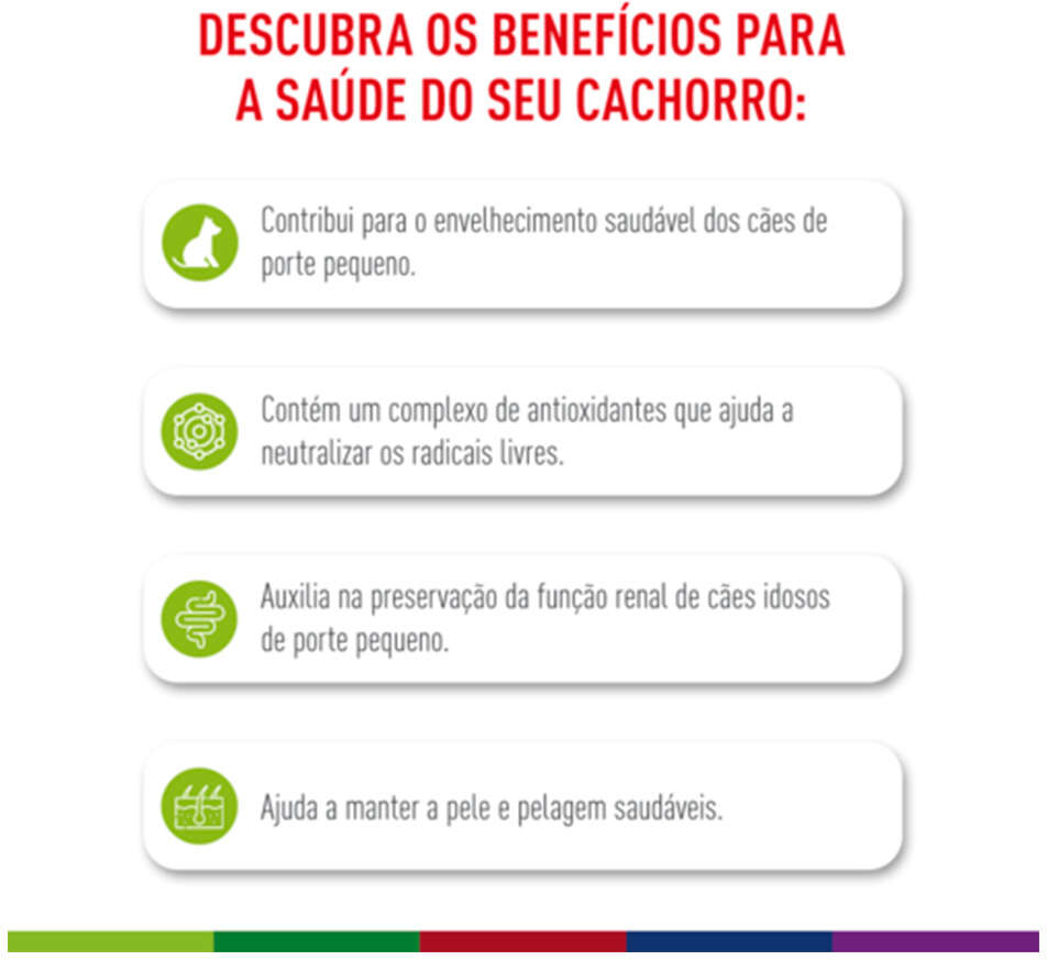 Ração Royal Canin X-Small Ageing 12+ para Cães Adultos e Idosos - 1Kg