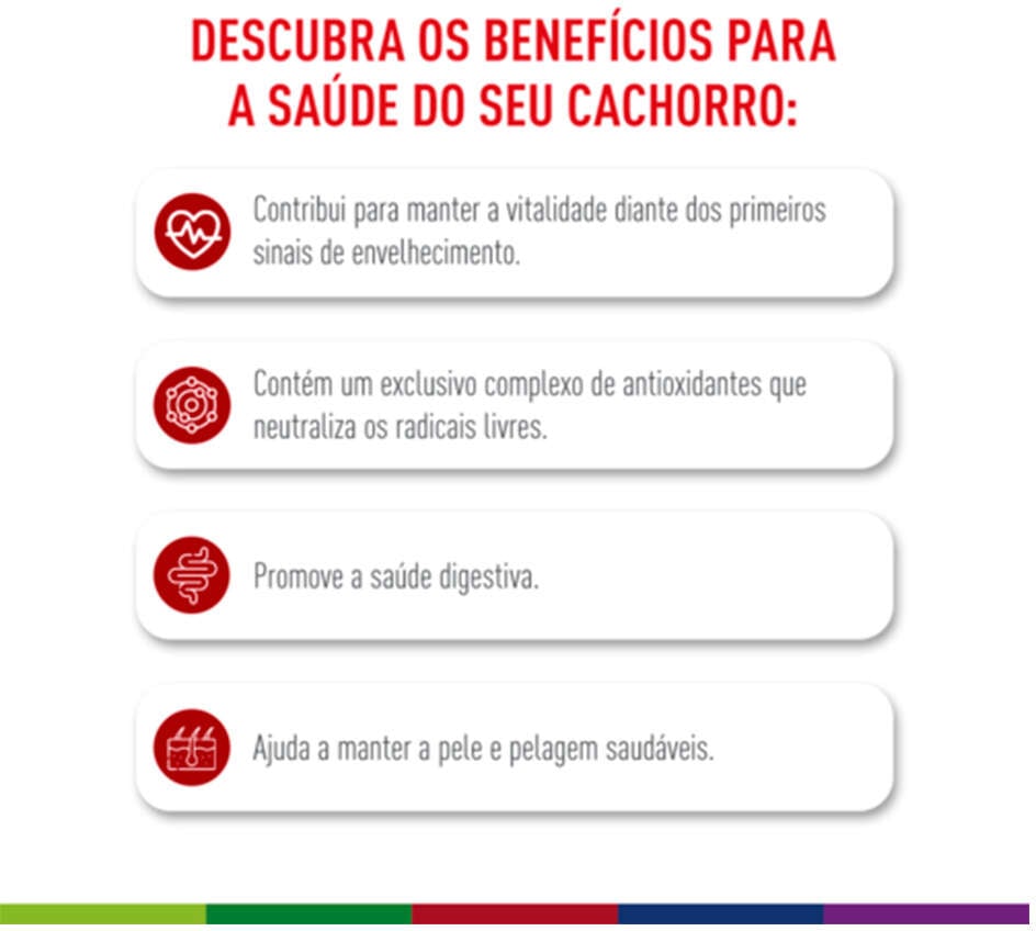 Ração Seca Royal Canin Medium Adult 7+ para Cães Adultos de Porte Médio - 12 KG