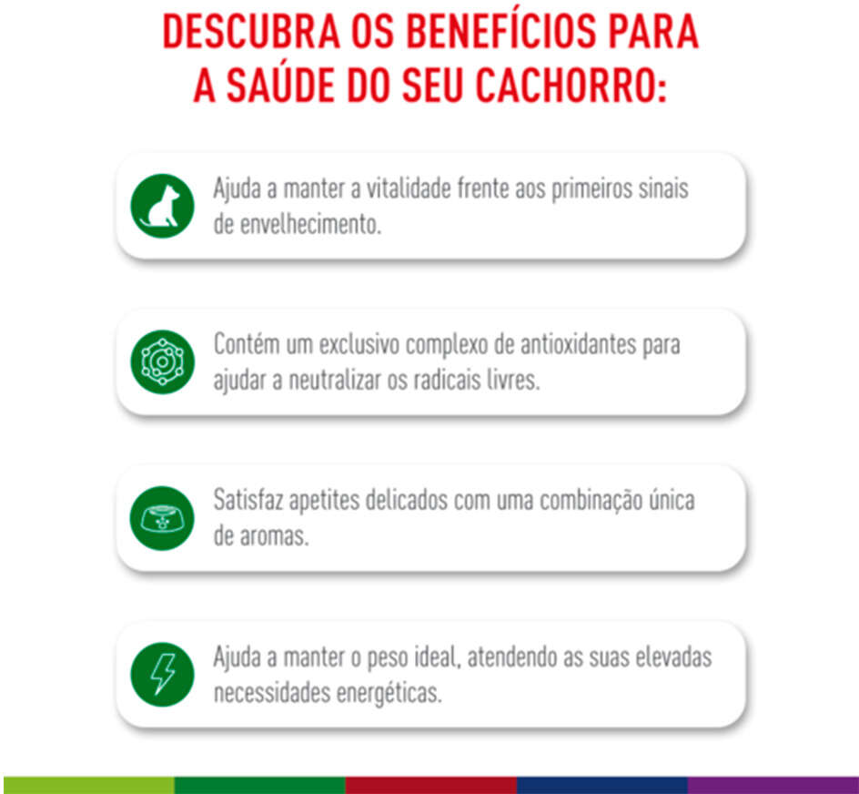 Ração Royal Canin Mini Adult 8+ para Cães Adultos de Raças Pequenas com 8 Anos ou mais - 7,5Kg