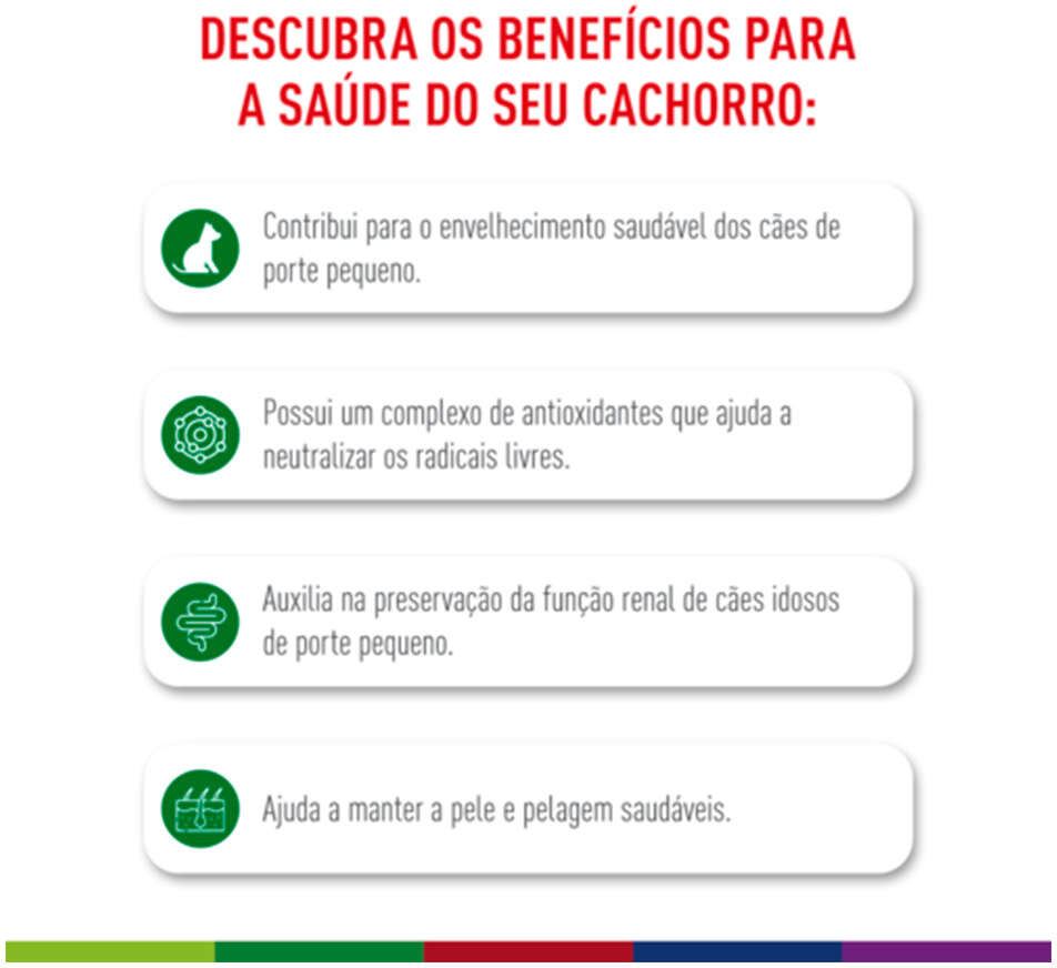 Ração Royal Canin Mini Ageing 12+ Cães Idosos de Raças Pequenas com 12 Anos ou mais - 2,5Kg