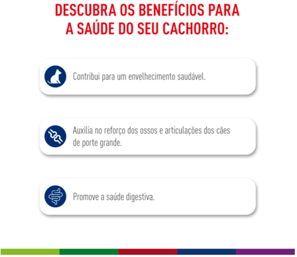 Ração Seca Royal Canin Maxi Ageing 8+ para Cães Idosos de Porte Grande - 12 KG