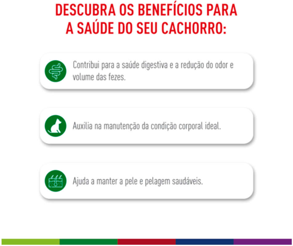 Ração Royal Canin Mini Indoor Adult para Cães Adultos Raças Pequenas com 10 Meses ou mais - 2,5Kg