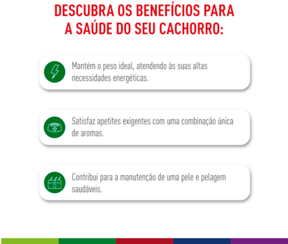 Ração Royal Canin Mini Adult para Cães Adultos de Raças Pequenas com 10 Meses ou mais - 7,5Kg