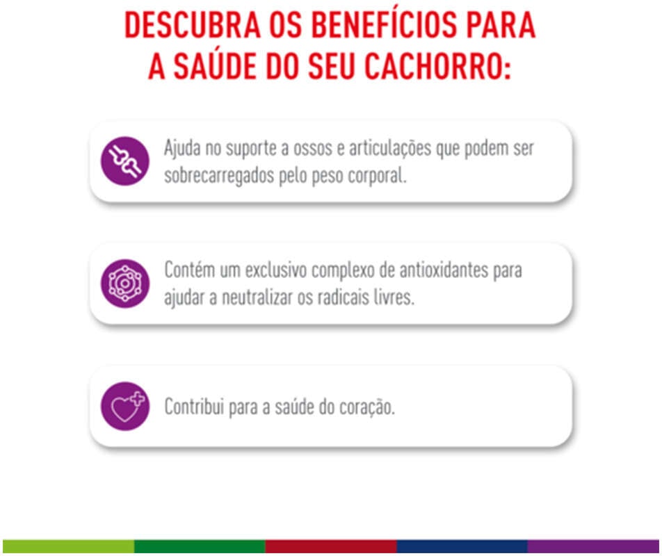Ração Royal Canin Giant para Cães Gigantes Adultos ou Idosos - 12 KG
