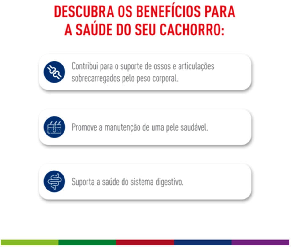 Ração Seca Royal Canin Maxi Adult para Cães Adultos de Porte Grande - 12 KG