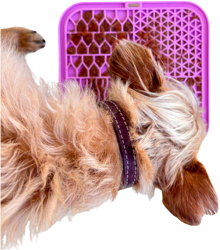 Brinquedo Interativo Tapete de Lamber Kit Fuzzie Roxo para Cães e Gatos - Tam. Único