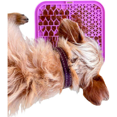 Brinquedo Interativo Tapete de Lamber Kit Fuzzie Roxo para Cães e Gatos