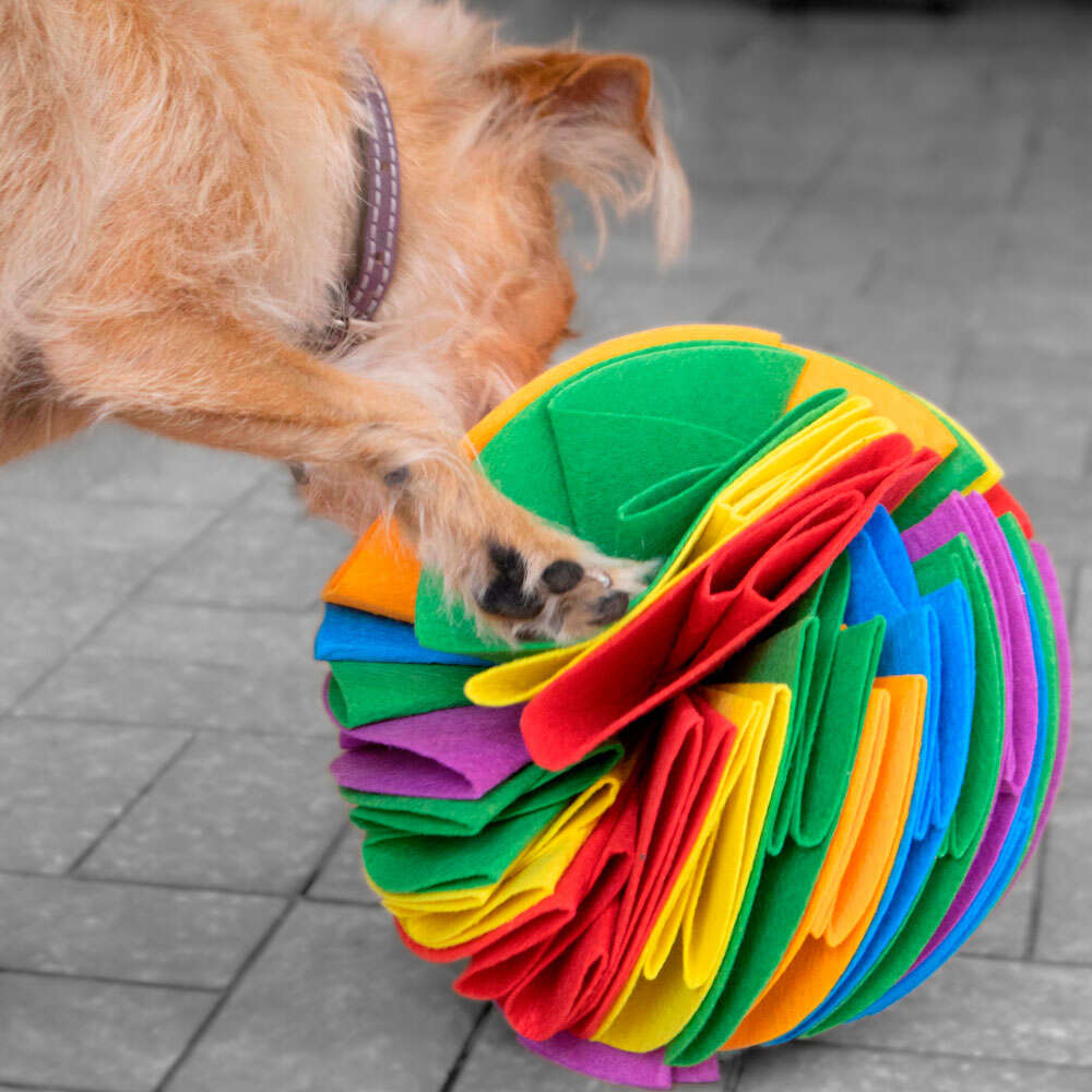 Brinquedo Interativo Bola de Fuçar Fuzzie Recheável para Cães e Gatos - Tam. Único
