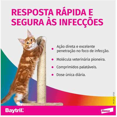 Antibiótico Elanco Baytril Flavour 50 mg para Cães e Gatos de até 10 Kg”