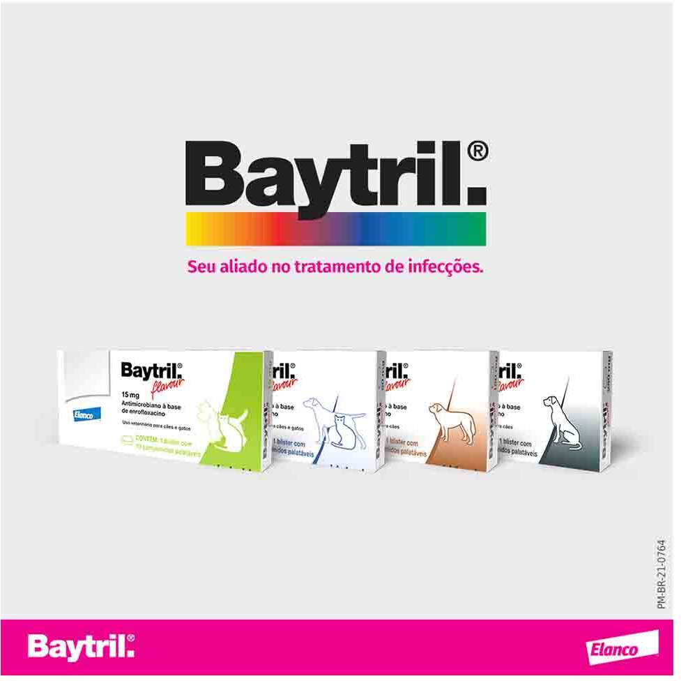 Antibiótico Elanco Baytril Flavour 50 mg para Cães e Gatos de até 10Kg - 10 Comprimidos